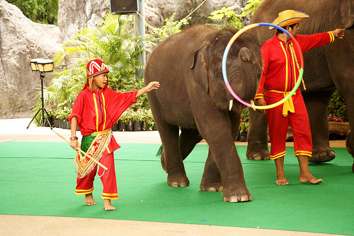 タイのシンボル、象さん